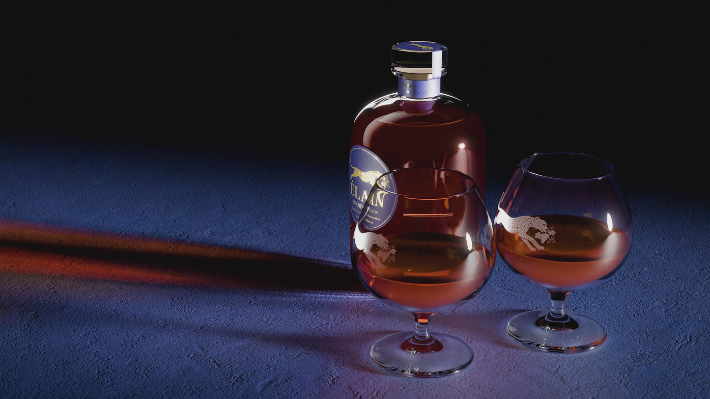 Video Elan Brandy Homepage